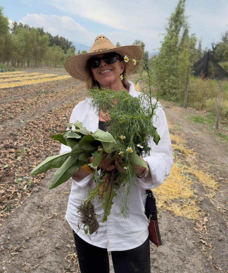 Fresh Vegetables - Harvest Club