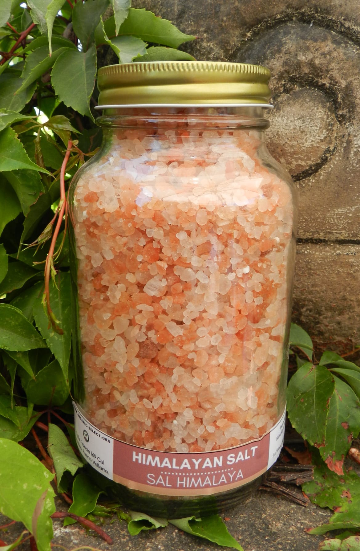 Sal Rosa del Himalaya molido fino frasco de 150 gr