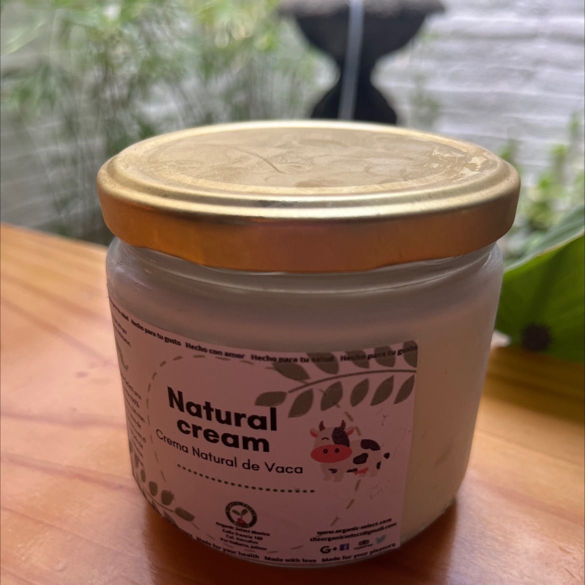 crema agria cruda 300 ml
