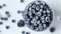 Arándanos Azules Congelados 500 gr