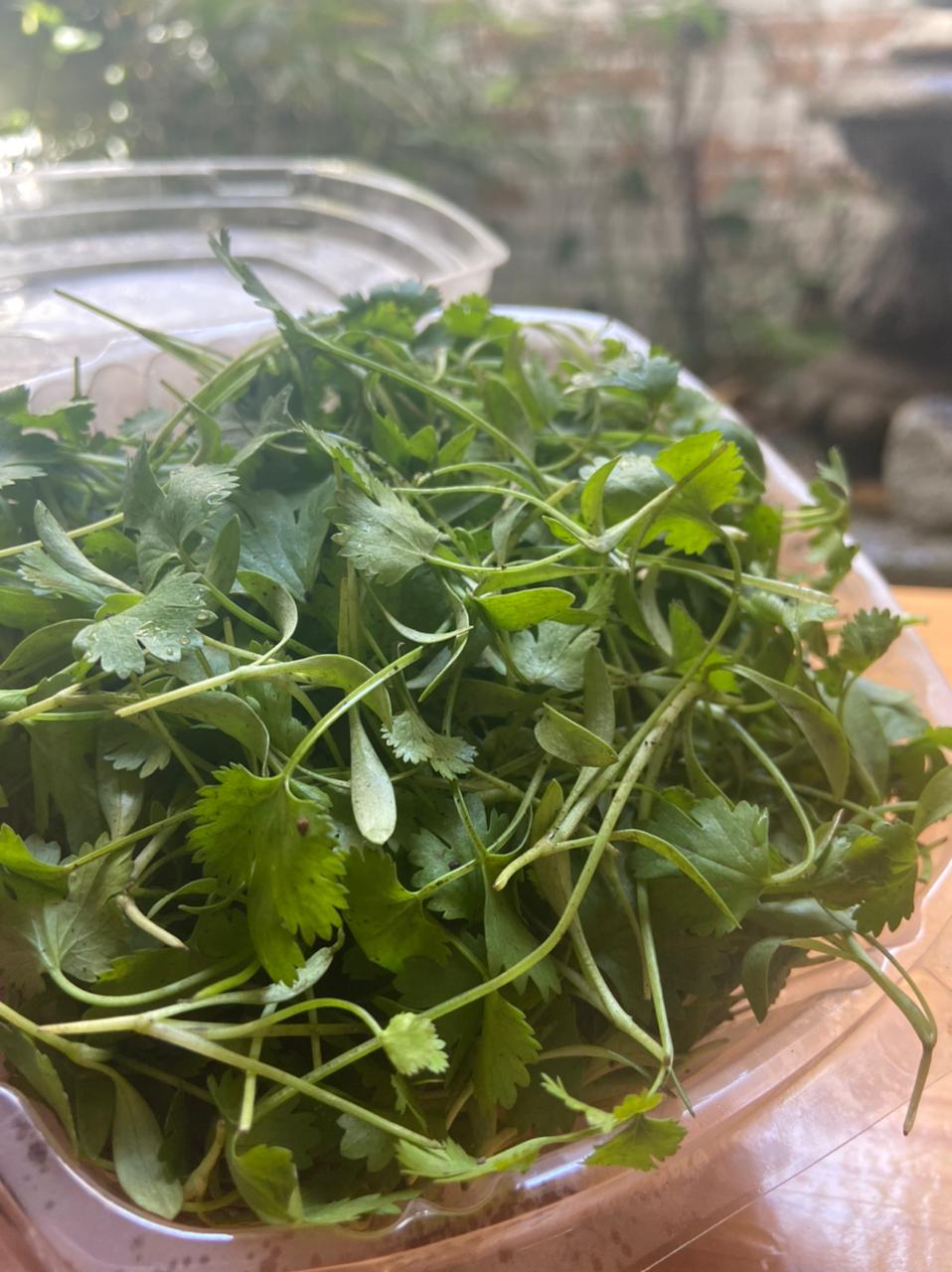 Broccoli and Kale Microgreen Mix 50 gr