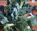 Broccoli Head, Small (Each)