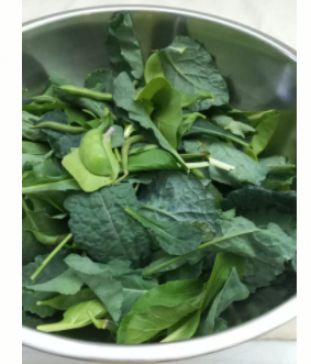 Greens - Mix Garden Greens 100 gr.