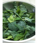 Greens - Mix Garden Greens 100 gr.