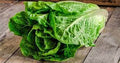 Romaine Lettuce 1 piece/ Lechuga Romana 1 pieza