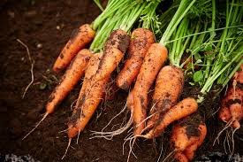 Zanahorias 500 gramos