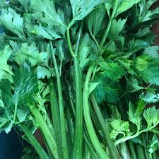 Apio manojo grande Celery Large Bunch