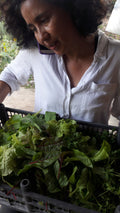 Mix de ensalada 250 g