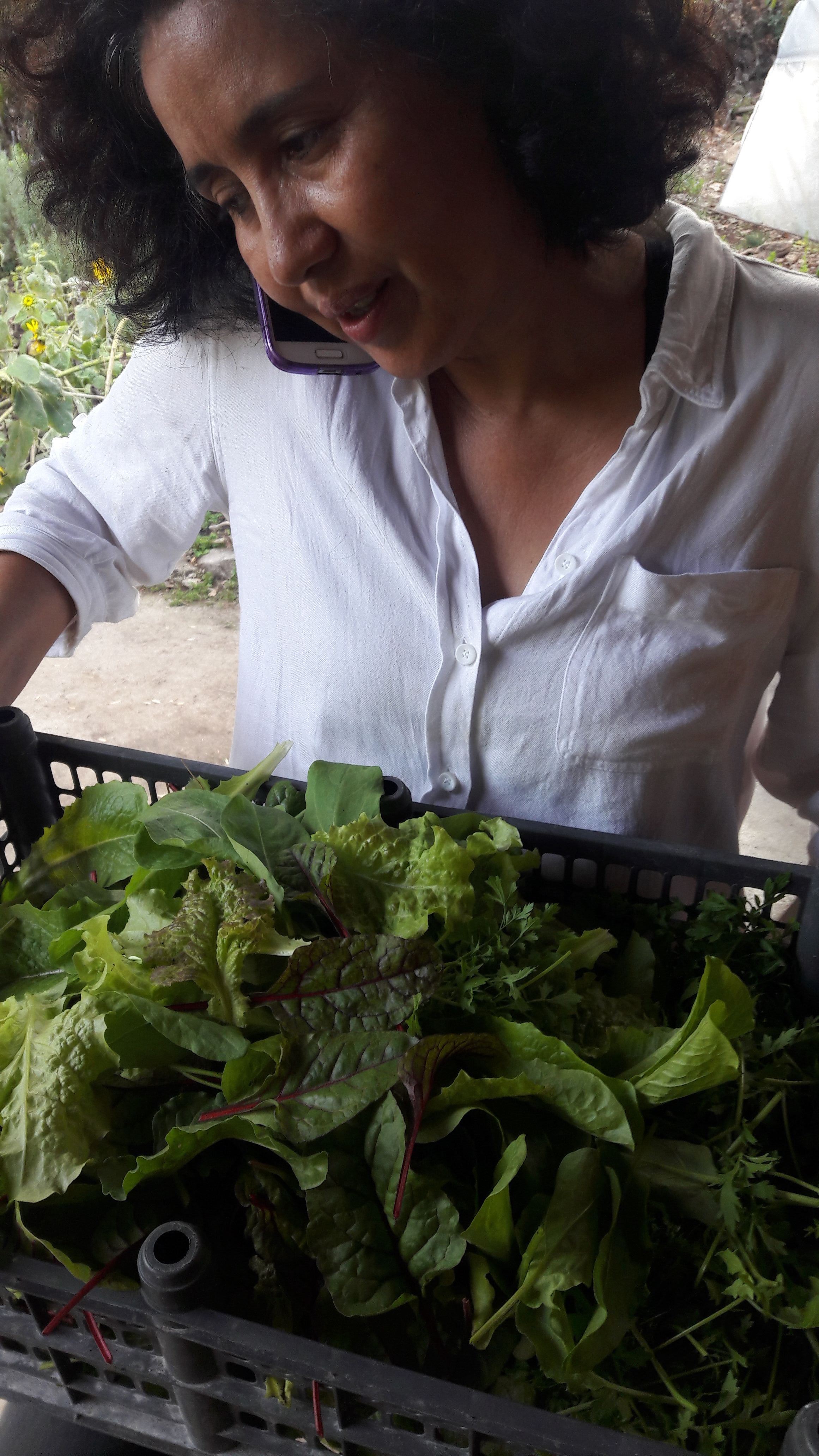 Mix de ensalada 250 g