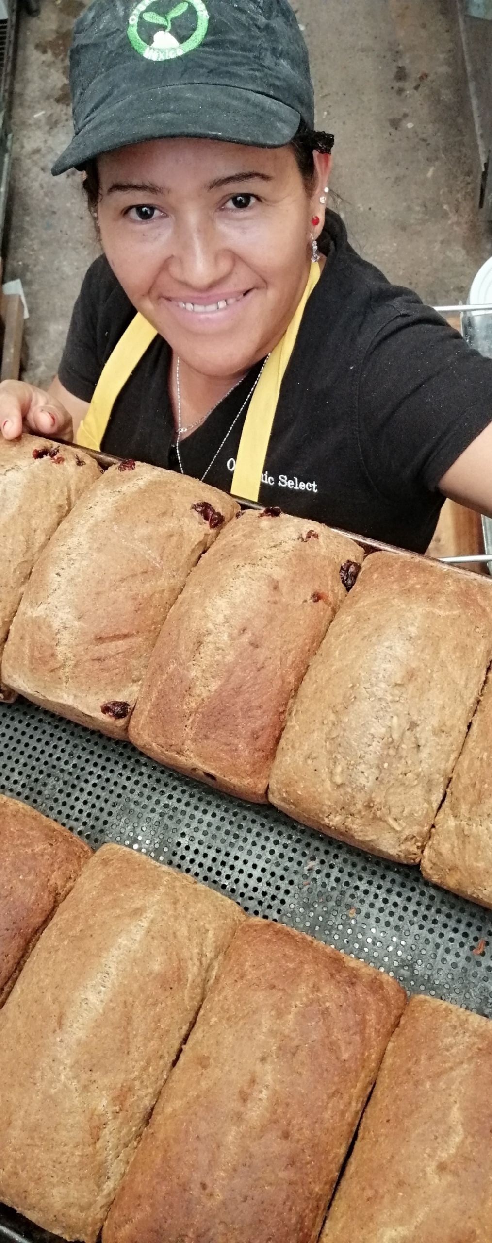 Pan sin gluten, pan de molde para sándwiches, Vegano