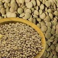 Lenteja verde ecológica 500 gr / Lenteja 500 gr