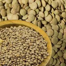 Lenteja verde ecológica 500 gr / Lenteja 500 gr