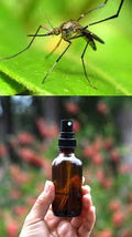 spray repelente de insectos, mezcla orgánica 250 ml