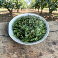 Fresh Harvest - Moringa Leaves - 100gr.