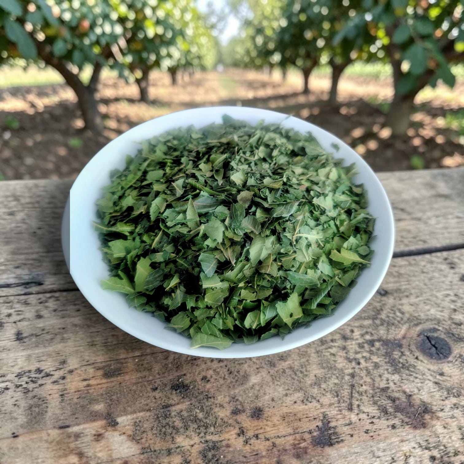 Fresh Harvest - Moringa Leaves - 100gr.