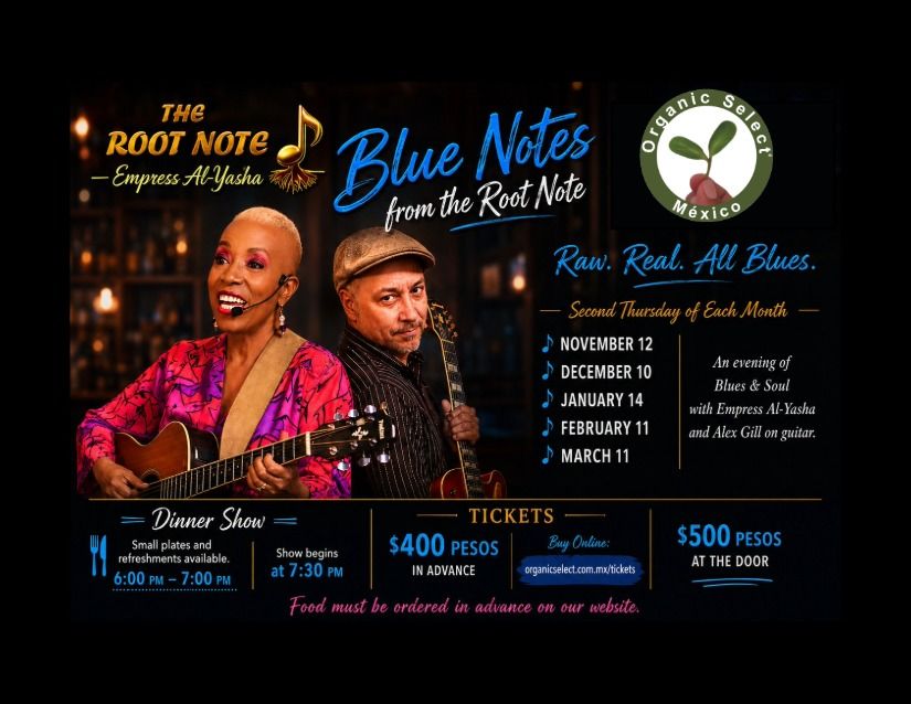 Entradas noviembre 2026 - The Root Note Live Series