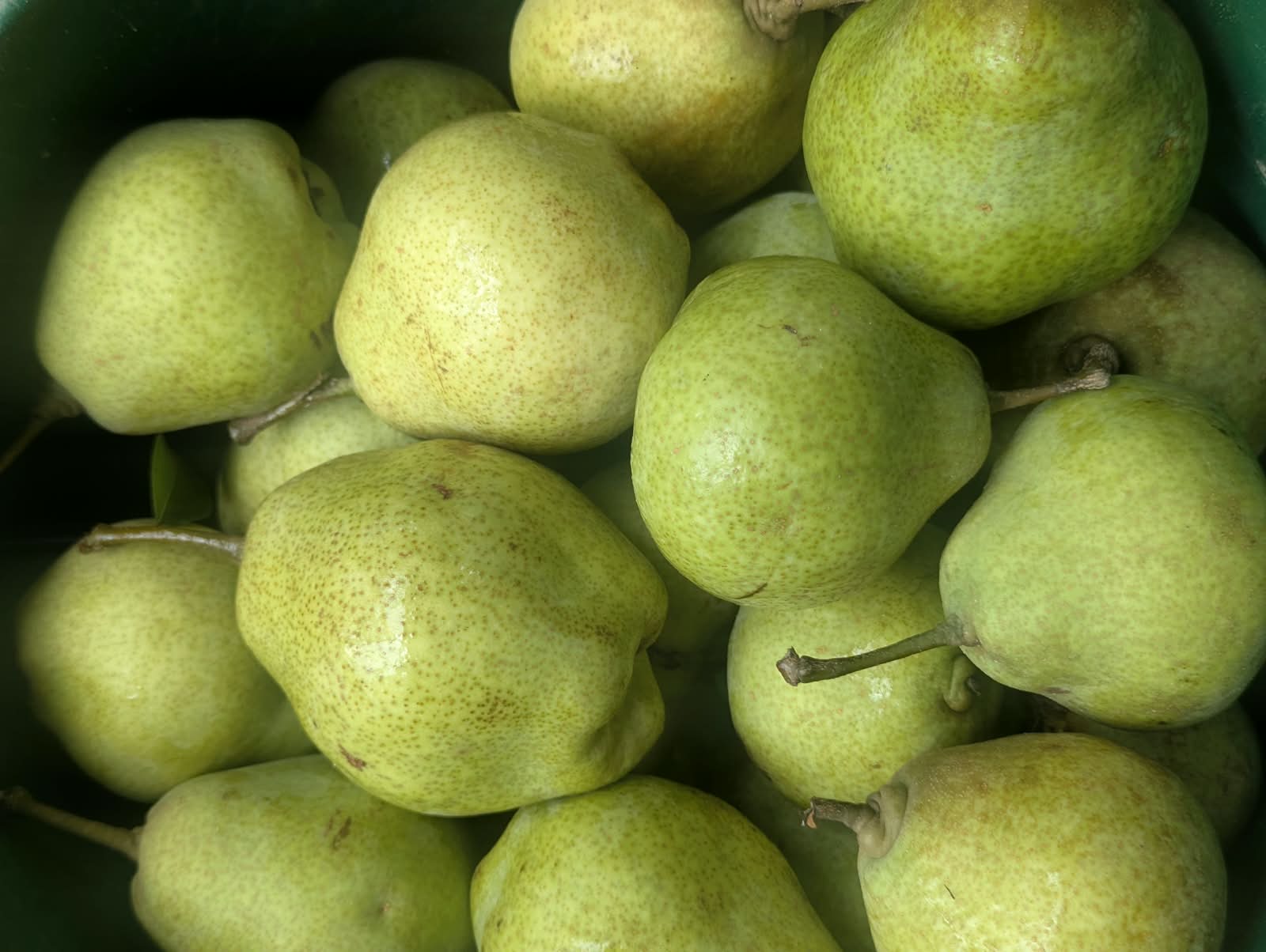 Peras y manzanas asiáticas orgánicas
