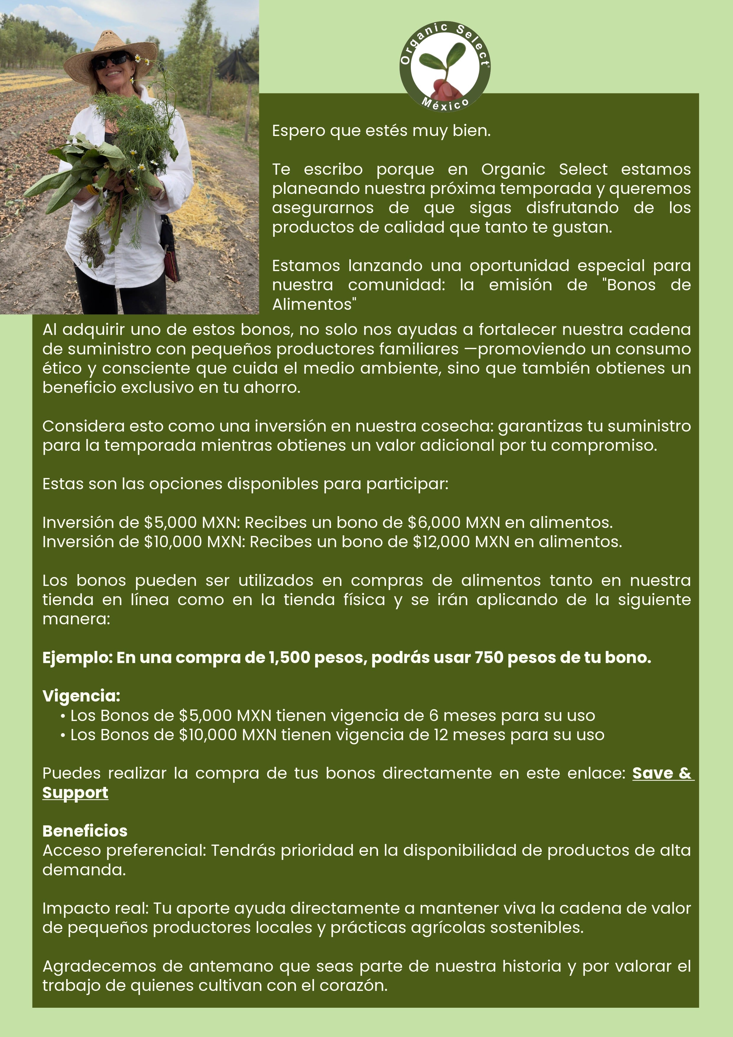 Bonos de alimentos