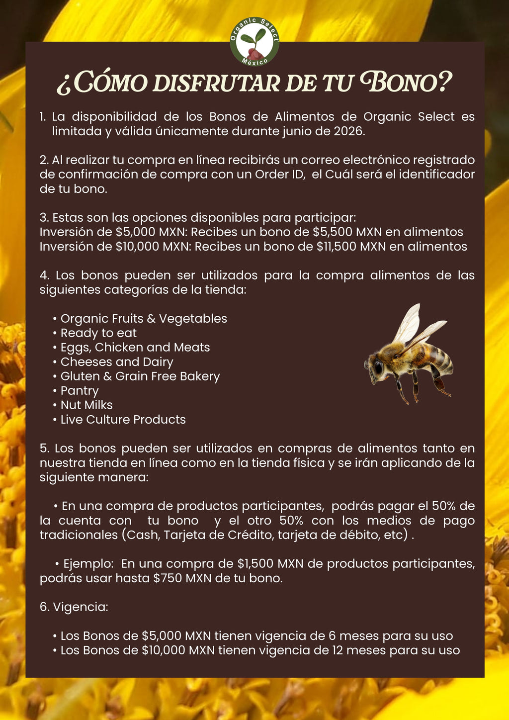 Bonos de alimentos