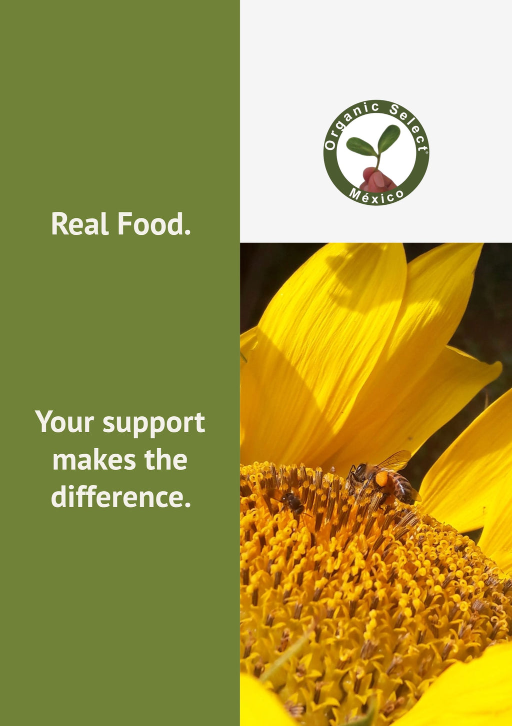 Bonos de alimentos