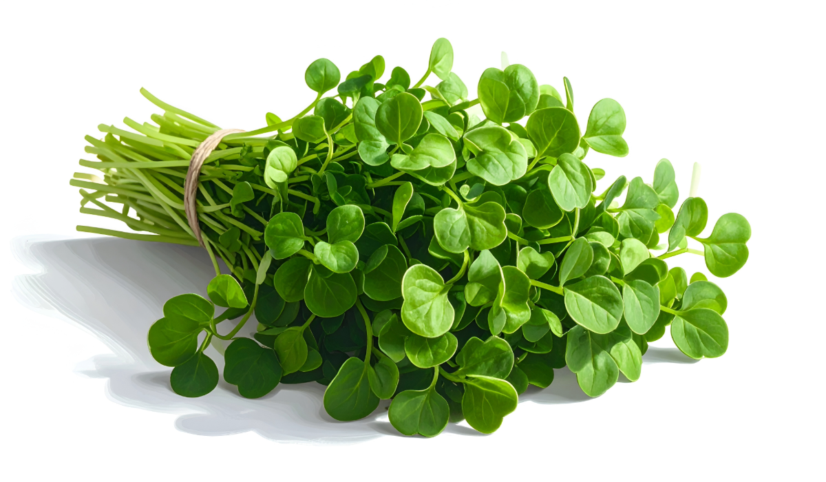 Watercress –  bch