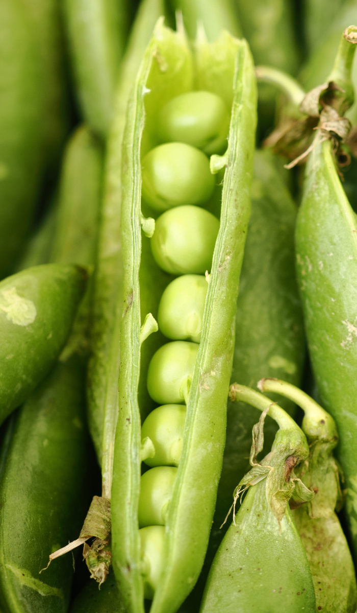 Peas in the Pod - 1 kg