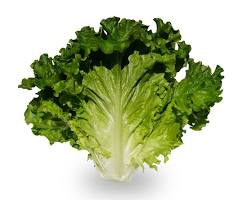 Italian Lettuce (Each)