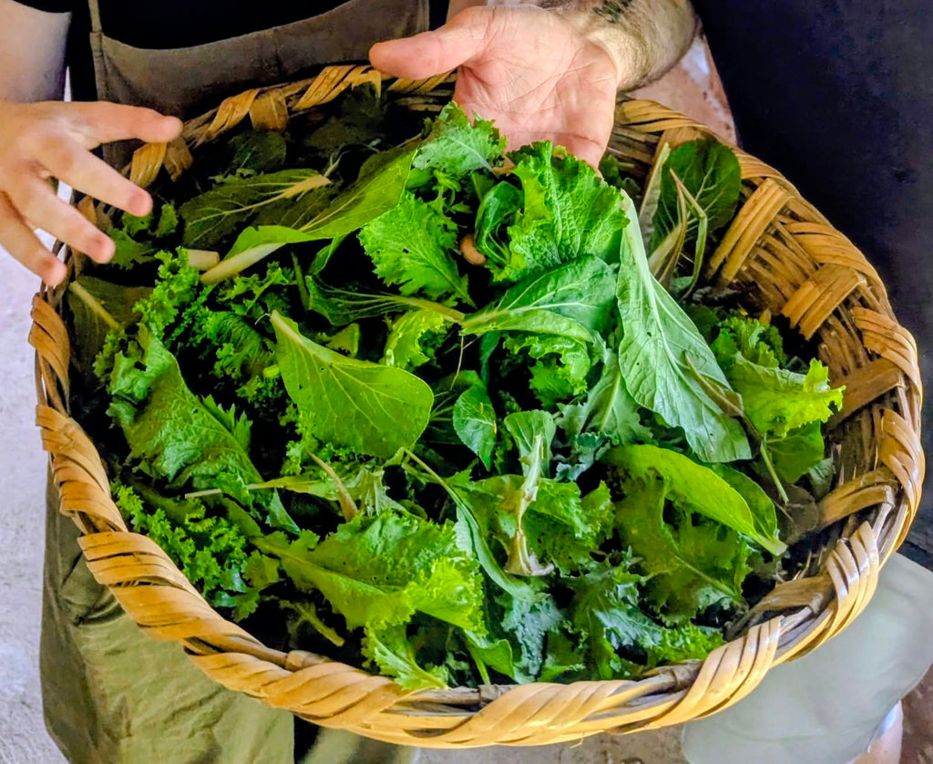 Greens - Mix Garden Greens 100 gr.